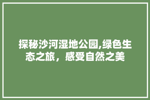 探秘沙河湿地公园,绿色生态之旅，感受自然之美  第1张