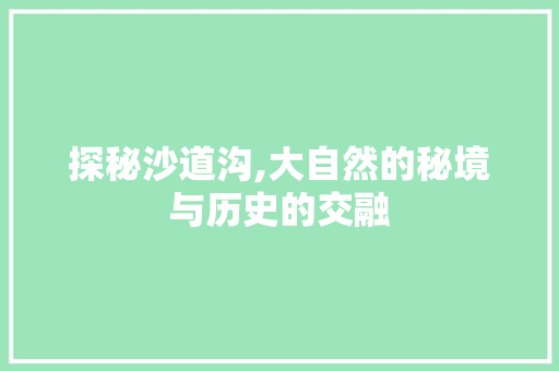 探秘沙道沟,大自然的秘境与历史的交融