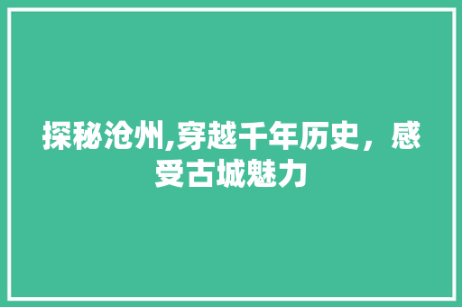 探秘沧州,穿越千年历史，感受古城魅力