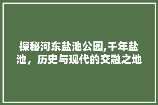 探秘河东盐池公园,千年盐池，历史与现代的交融之地