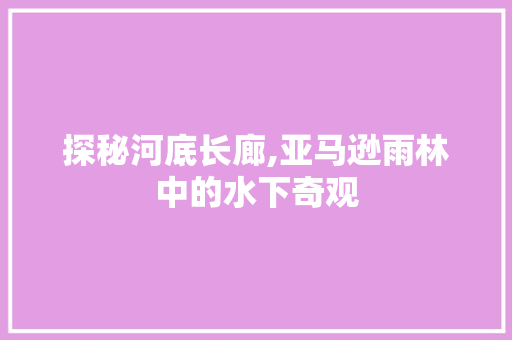 探秘河底长廊,亚马逊雨林中的水下奇观
