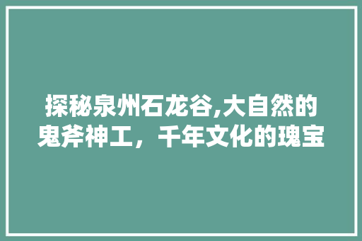 探秘泉州石龙谷,大自然的鬼斧神工，千年文化的瑰宝  第1张
