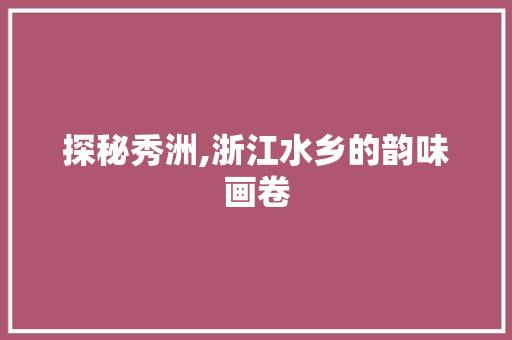 探秘秀洲,浙江水乡的韵味画卷
