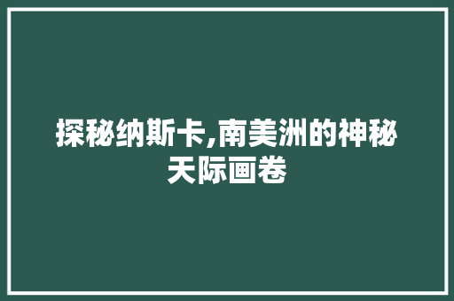 探秘纳斯卡,南美洲的神秘天际画卷  第1张