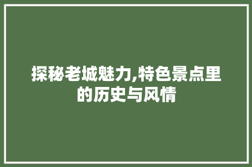 探秘老城魅力,特色景点里的历史与风情