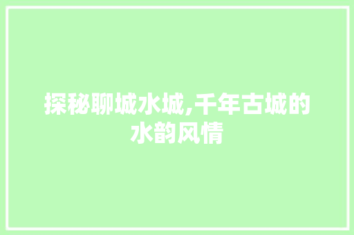 探秘聊城水城,千年古城的水韵风情  第1张