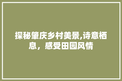 探秘肇庆乡村美景,诗意栖息，感受田园风情  第1张
