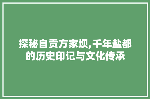 探秘自贡方家坝,千年盐都的历史印记与文化传承  第1张