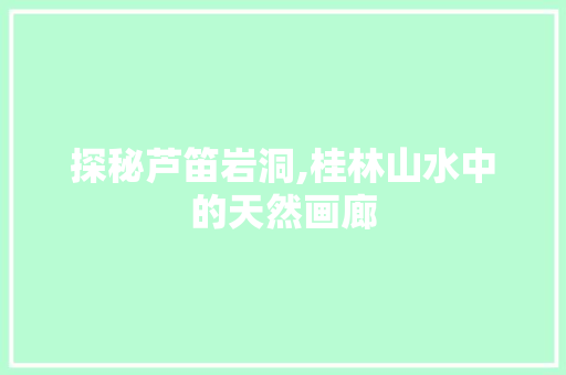 探秘芦笛岩洞,桂林山水中的天然画廊
