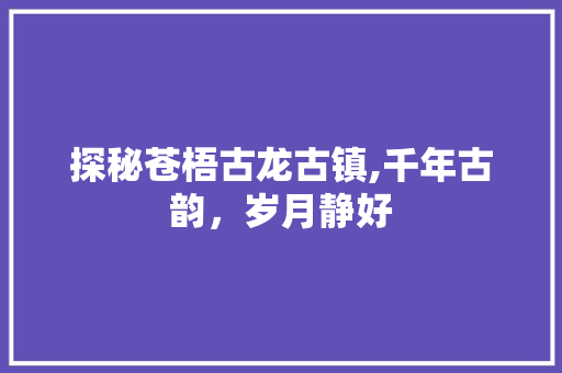 探秘苍梧古龙古镇,千年古韵，岁月静好