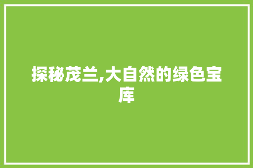 探秘茂兰,大自然的绿色宝库  第1张