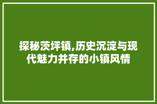 探秘茨坪镇,历史沉淀与现代魅力并存的小镇风情