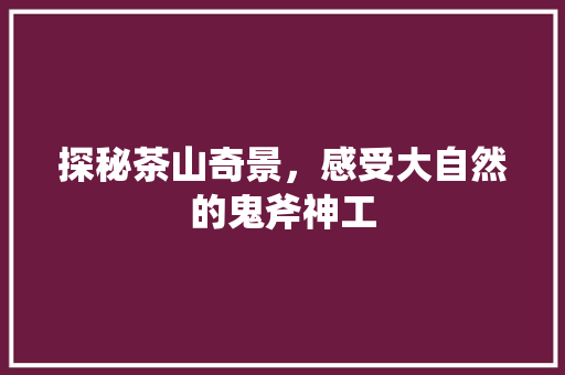 探秘茶山奇景，感受大自然的鬼斧神工
