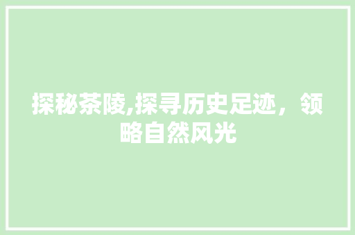 探秘茶陵,探寻历史足迹，领略自然风光