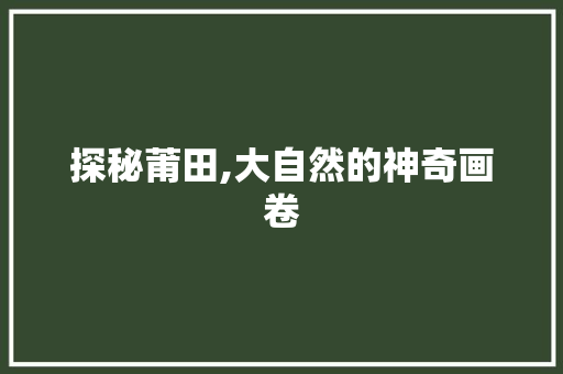 探秘莆田,大自然的神奇画卷  第1张