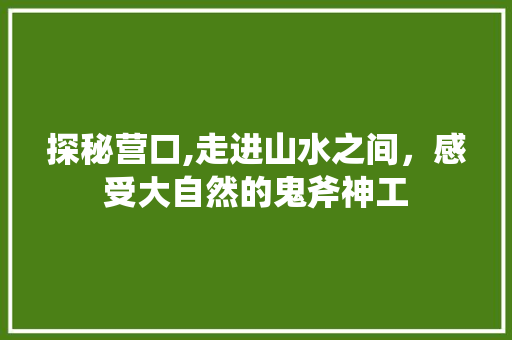 探秘营口,走进山水之间，感受大自然的鬼斧神工