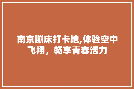 南京蹦床打卡地,体验空中飞翔，畅享青春活力  第1张