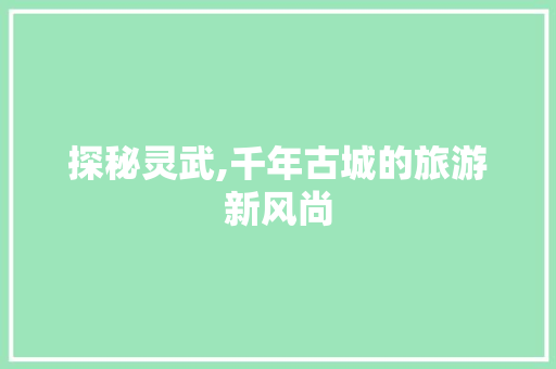 探秘灵武,千年古城的旅游新风尚  第1张