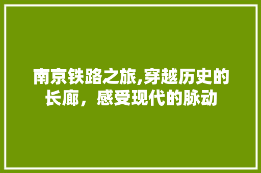 南京铁路之旅,穿越历史的长廊，感受现代的脉动