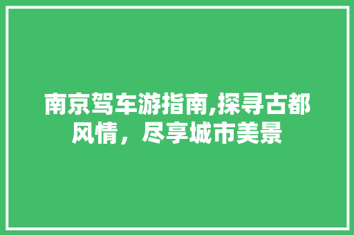 南京驾车游指南,探寻古都风情，尽享城市美景