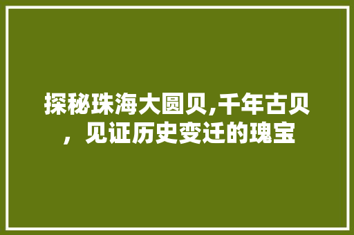探秘珠海大圆贝,千年古贝，见证历史变迁的瑰宝