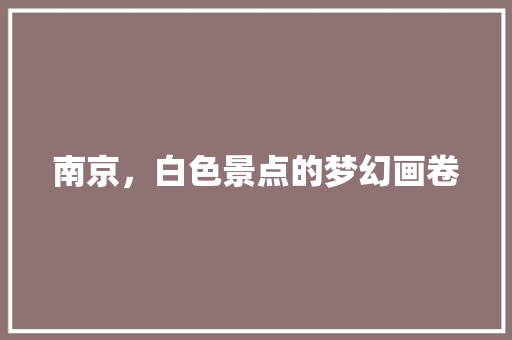 南京，白色景点的梦幻画卷