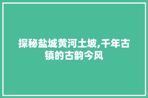 探秘盐城黄河土坡,千年古镇的古韵今风