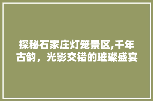 探秘石家庄灯笼景区,千年古韵，光影交错的璀璨盛宴  第1张