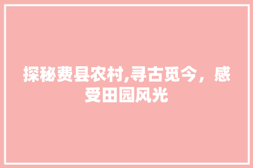探秘费县农村,寻古觅今，感受田园风光  第1张