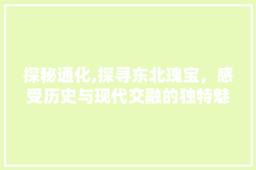探秘通化,探寻东北瑰宝，感受历史与现代交融的独特魅力  第1张