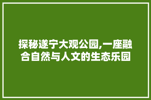 探秘遂宁大观公园,一座融合自然与人文的生态乐园  第1张