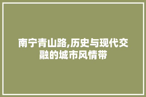 南宁青山路,历史与现代交融的城市风情带  第1张