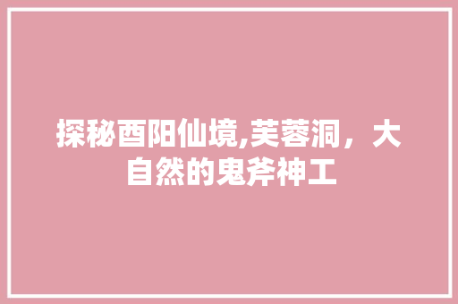 探秘酉阳仙境,芙蓉洞，大自然的鬼斧神工
