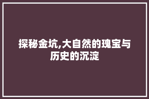 探秘金坑,大自然的瑰宝与历史的沉淀  第1张