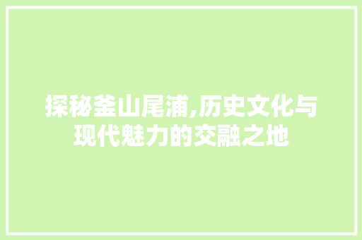 探秘釜山尾浦,历史文化与现代魅力的交融之地  第1张