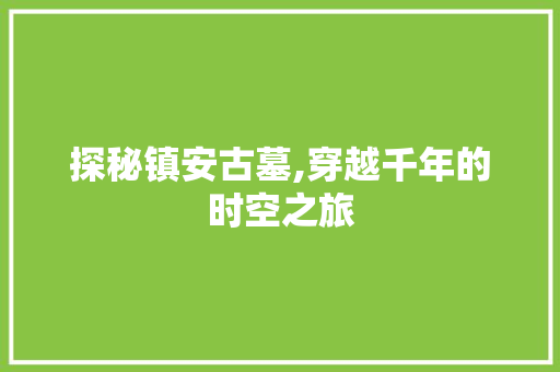 探秘镇安古墓,穿越千年的时空之旅