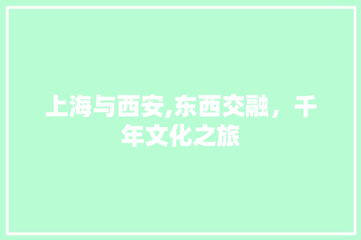 上海与西安,东西交融，千年文化之旅  第1张
