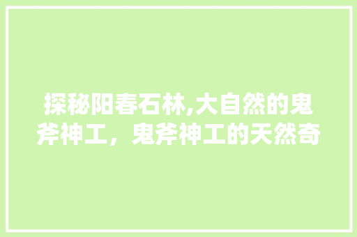 探秘阳春石林,大自然的鬼斧神工，鬼斧神工的天然奇观