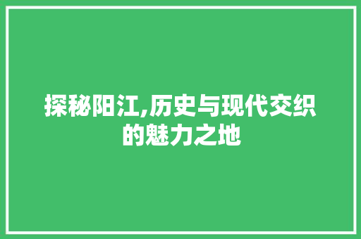 探秘阳江,历史与现代交织的魅力之地