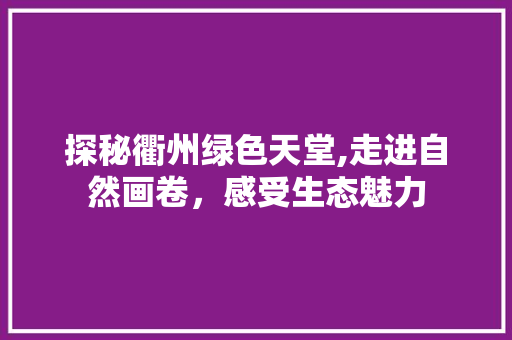 探秘衢州绿色天堂,走进自然画卷，感受生态魅力  第1张