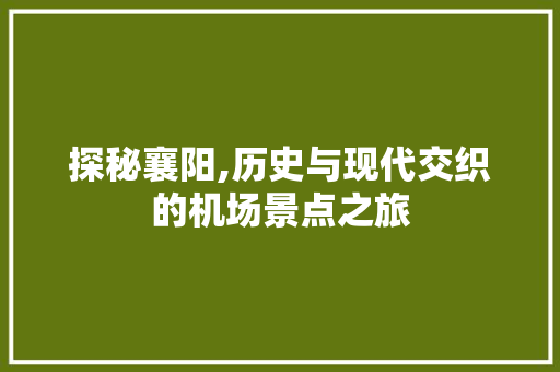 探秘襄阳,历史与现代交织的机场景点之旅  第1张