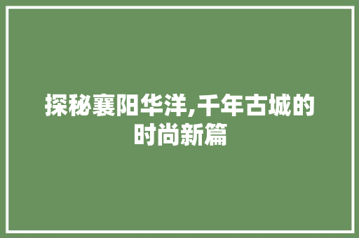 探秘襄阳华洋,千年古城的时尚新篇