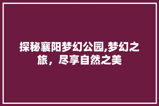 探秘襄阳梦幻公园,梦幻之旅，尽享自然之美