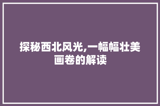 探秘西北风光,一幅幅壮美画卷的解读  第1张