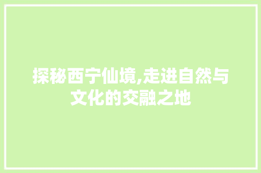 探秘西宁仙境,走进自然与文化的交融之地
