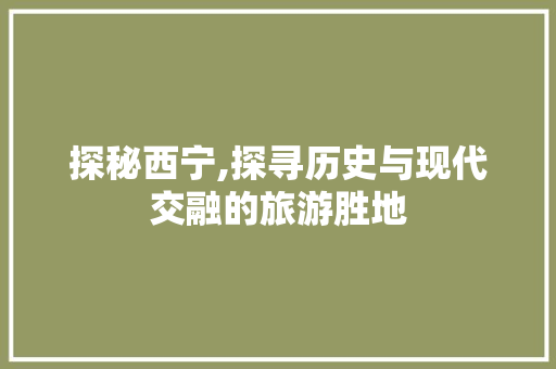探秘西宁,探寻历史与现代交融的旅游胜地