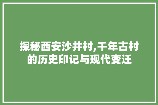 探秘西安沙井村,千年古村的历史印记与现代变迁