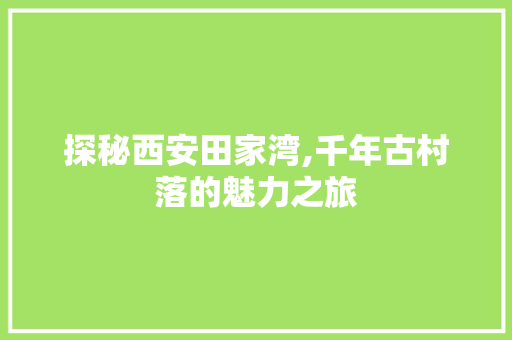 探秘西安田家湾,千年古村落的魅力之旅