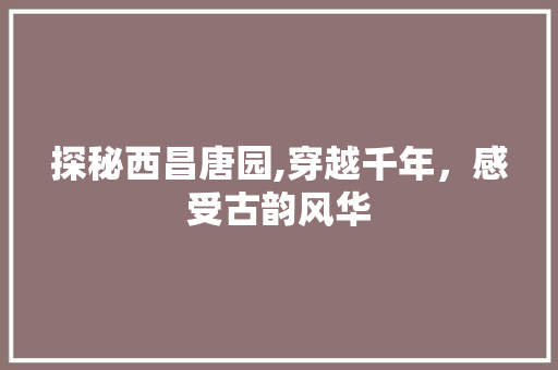 探秘西昌唐园,穿越千年，感受古韵风华