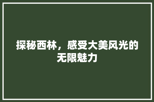 探秘西林，感受大美风光的无限魅力
